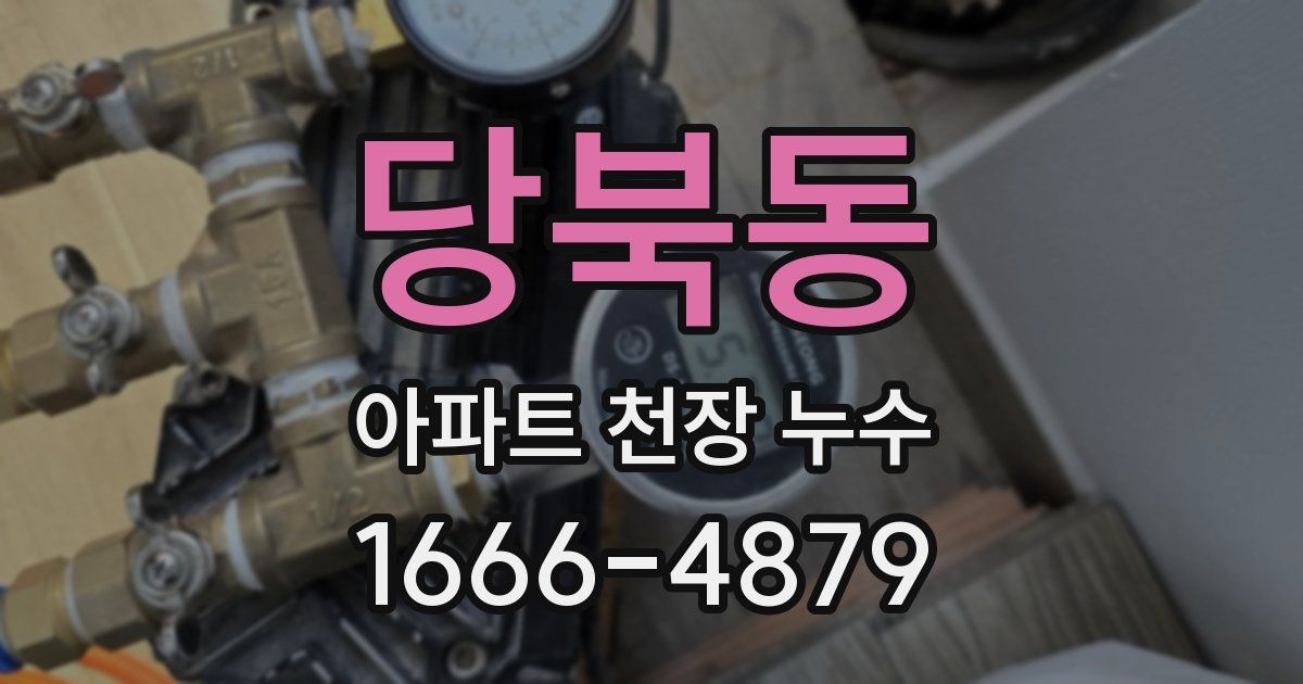 당북동 아파트 천장 누수