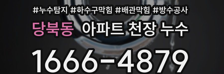 당북동 아파트 천장 누수