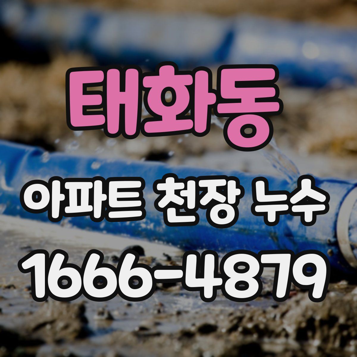 태화동 아파트 천장 누수