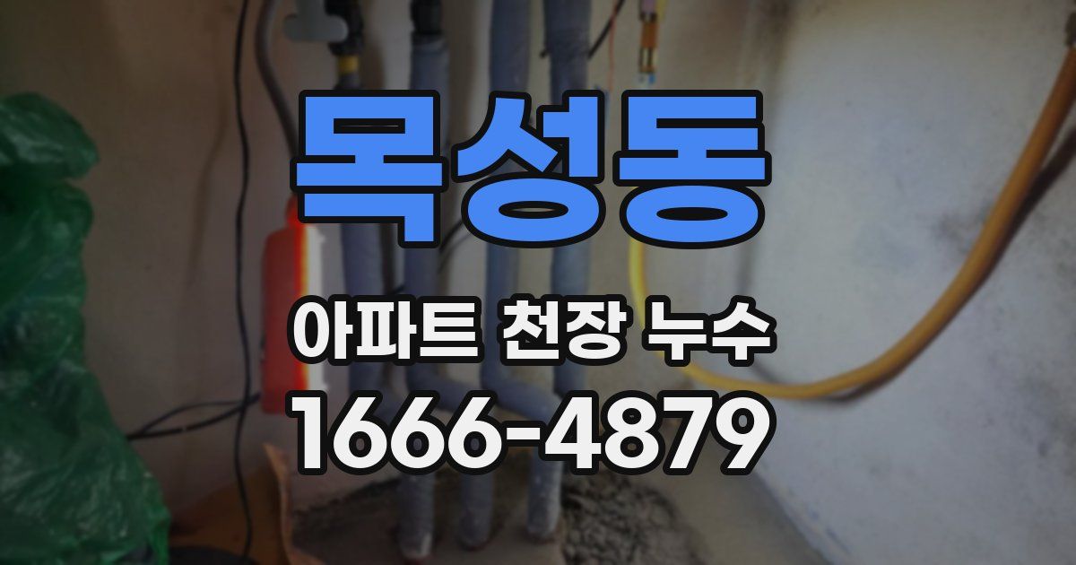 목성동 아파트 천장 누수