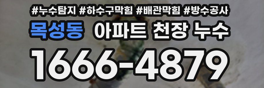목성동 아파트 천장 누수