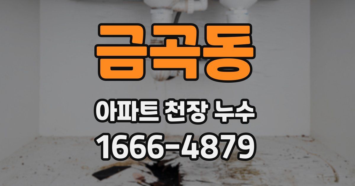 금곡동 아파트 천장 누수
