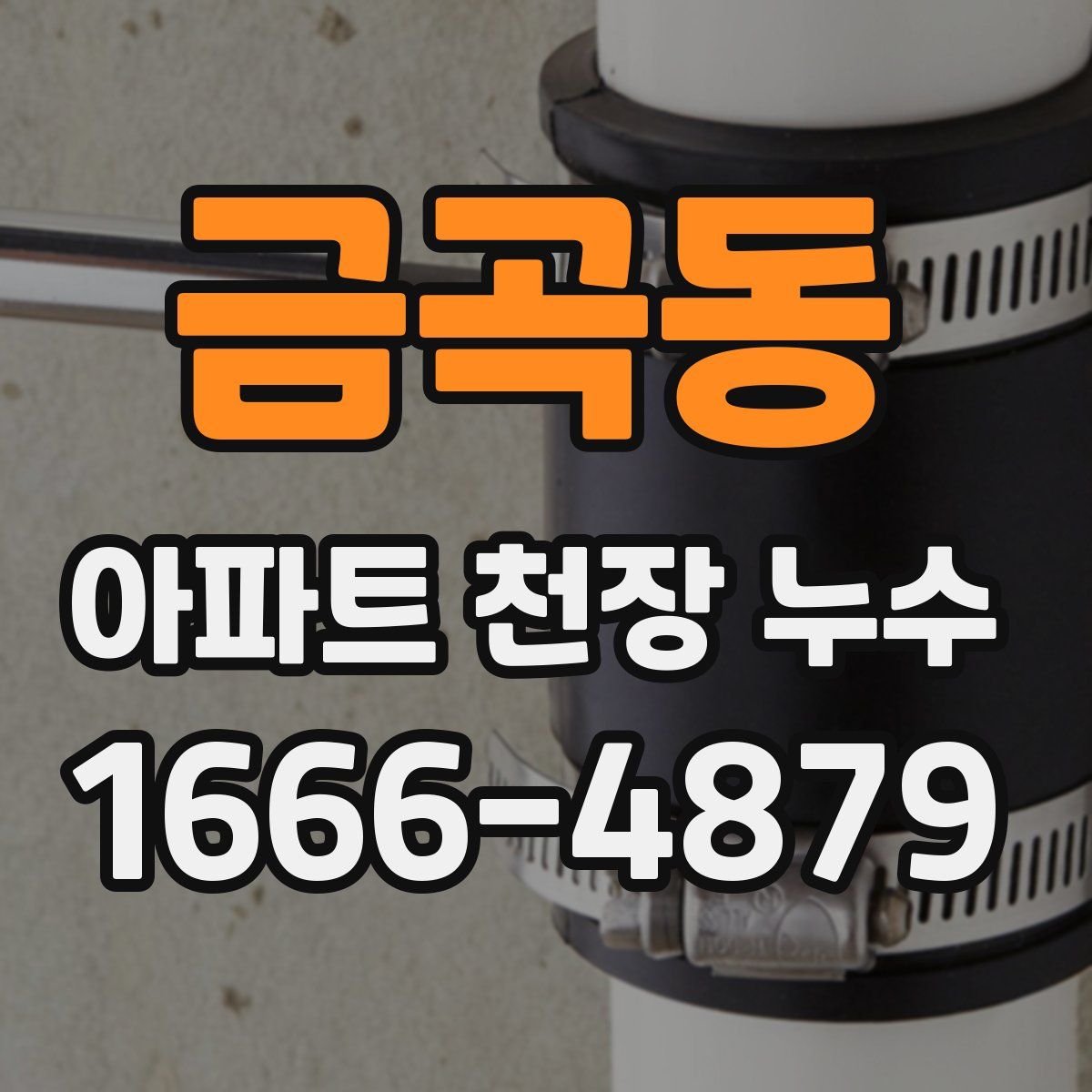 금곡동 아파트 천장 누수