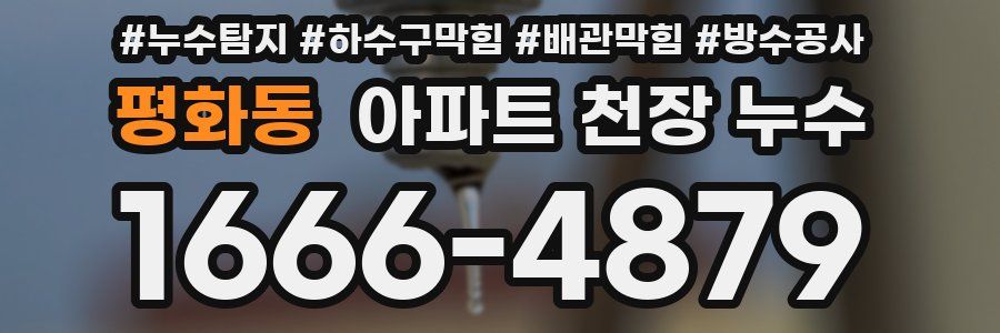 평화동 아파트 천장 누수