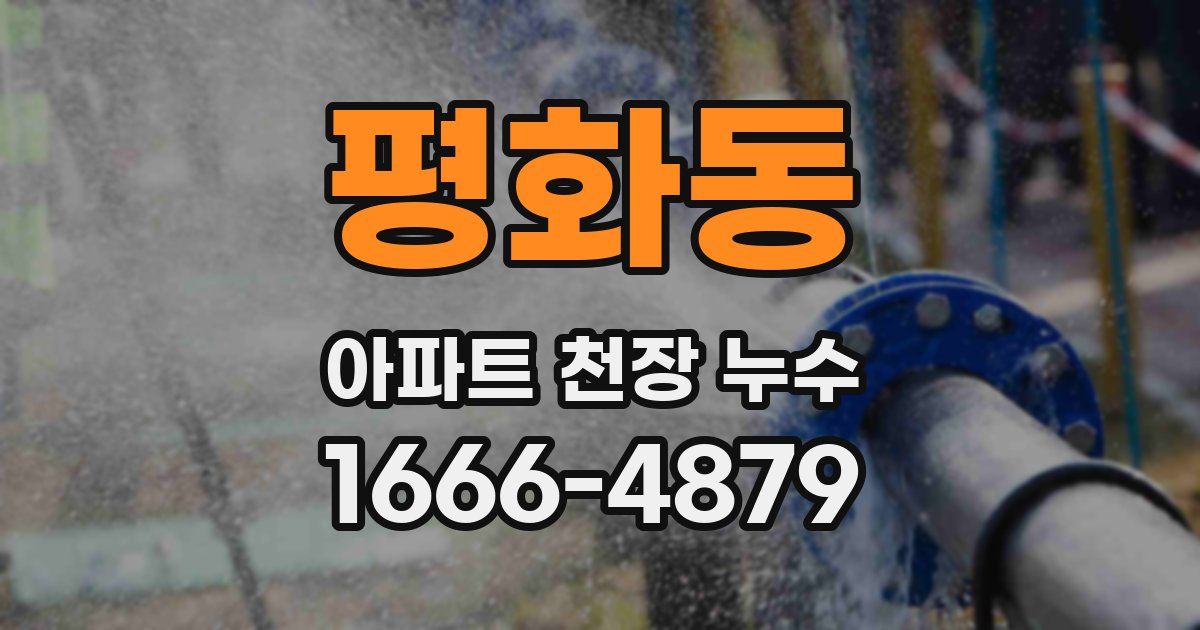 평화동 아파트 천장 누수