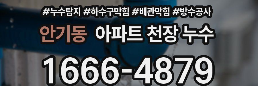 안기동 아파트 천장 누수