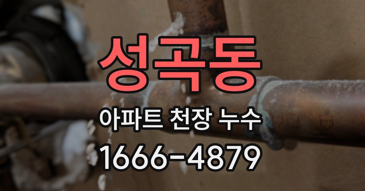 성곡동 아파트 천장 누수