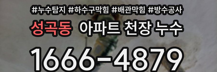 성곡동 아파트 천장 누수