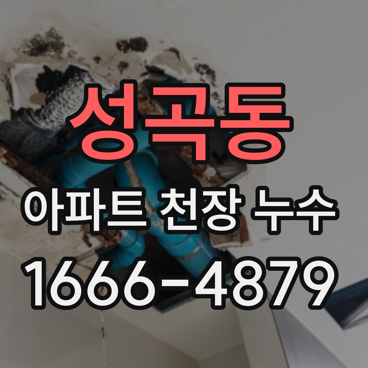 성곡동 아파트 천장 누수