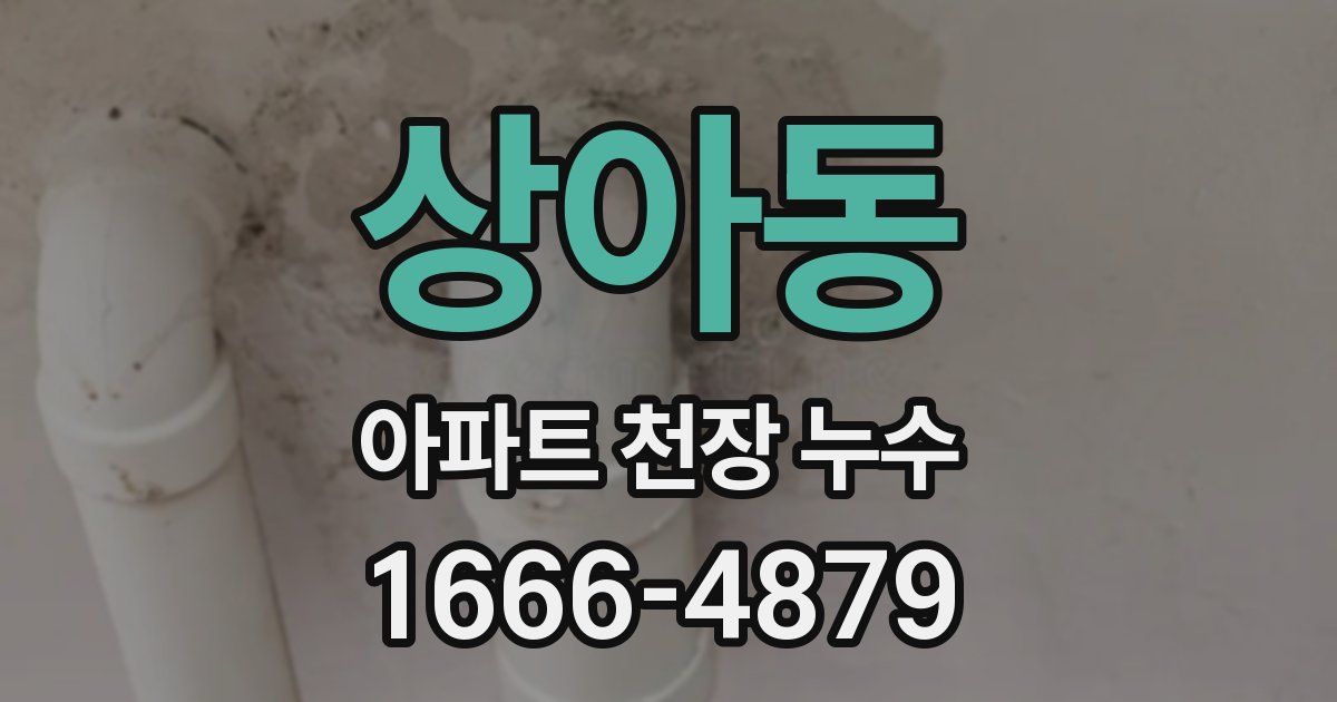 상아동 아파트 천장 누수