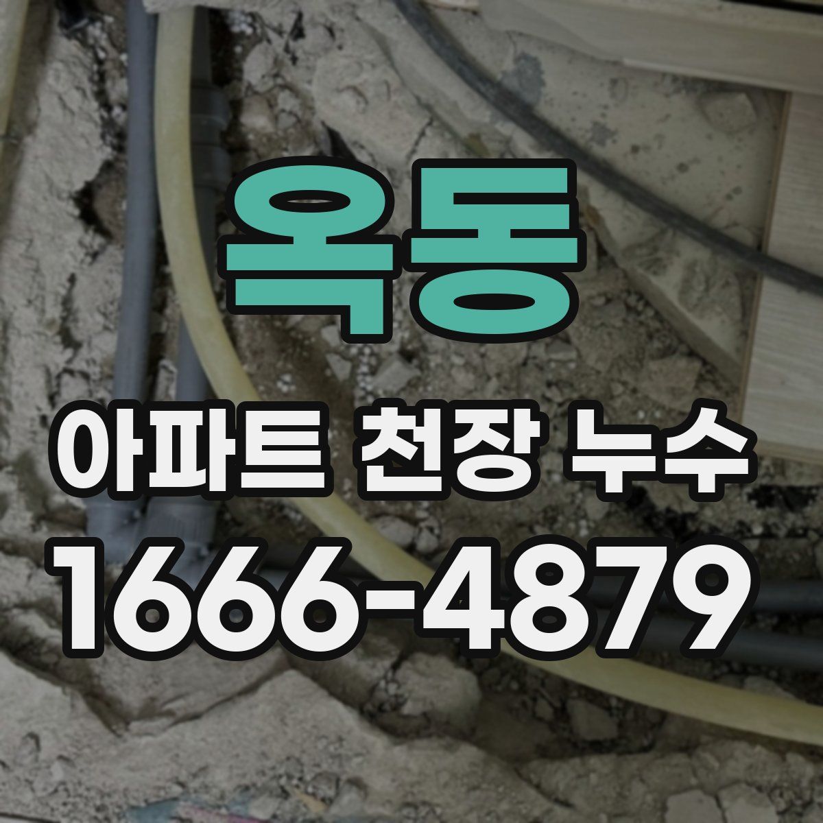 옥동 아파트 천장 누수