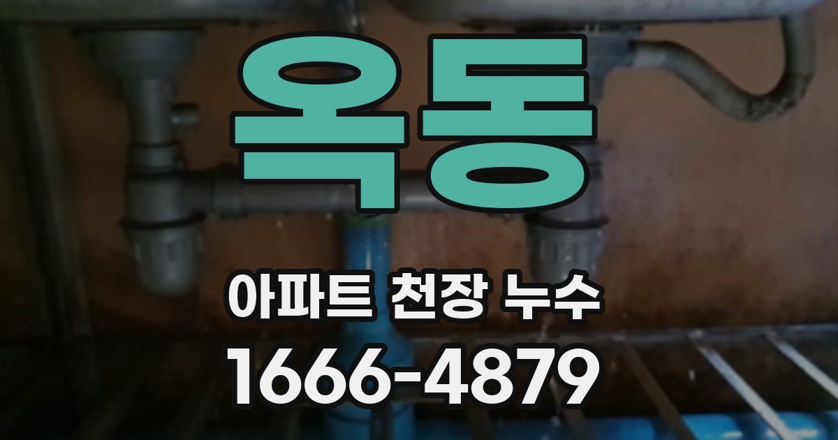 옥동 아파트 천장 누수
