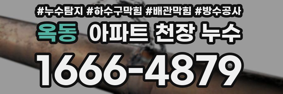 옥동 아파트 천장 누수