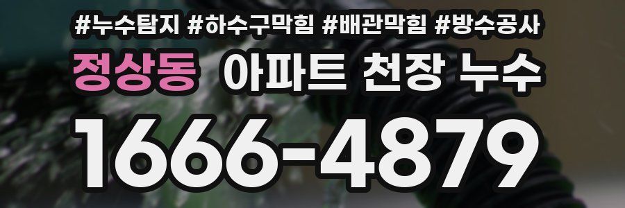 정상동 아파트 천장 누수
