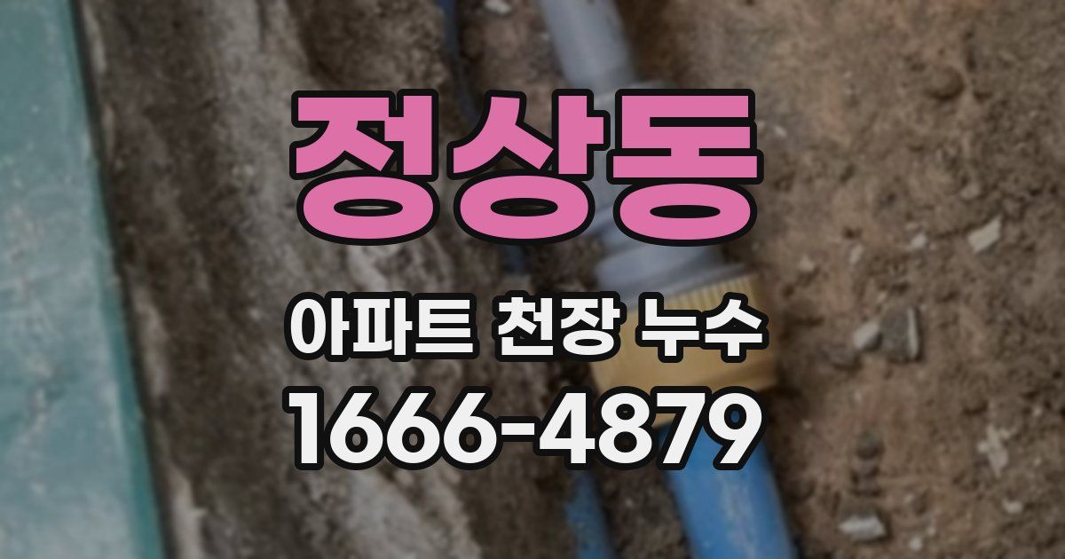 정상동 아파트 천장 누수