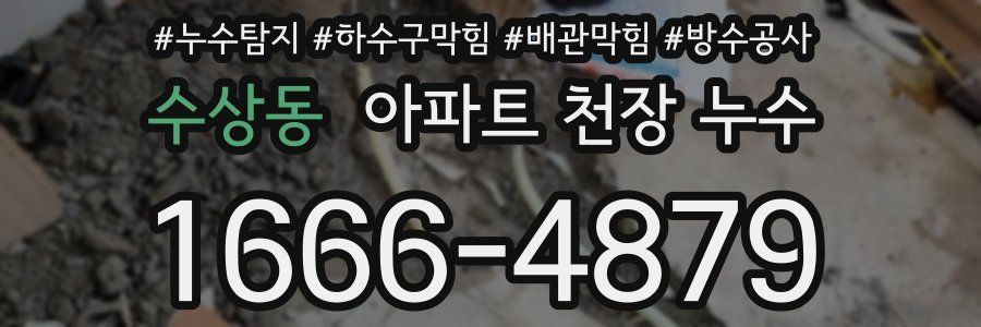 수상동 아파트 천장 누수
