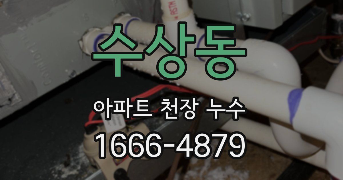 수상동 아파트 천장 누수