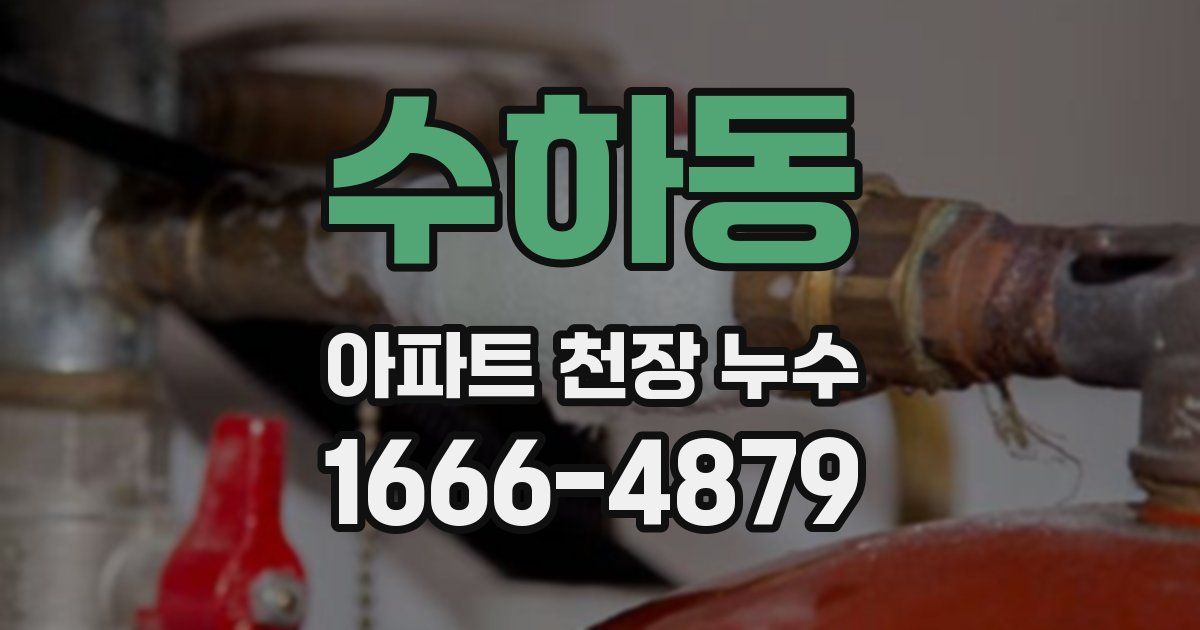 수하동 아파트 천장 누수