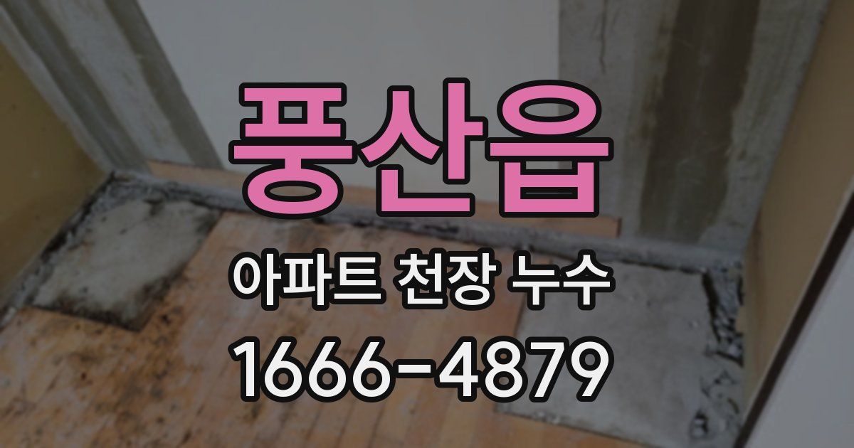 풍산읍 아파트 천장 누수