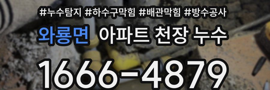 와룡면 아파트 천장 누수