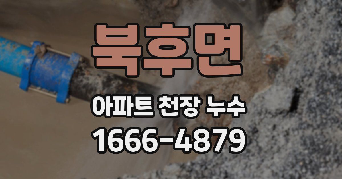 북후면 아파트 천장 누수