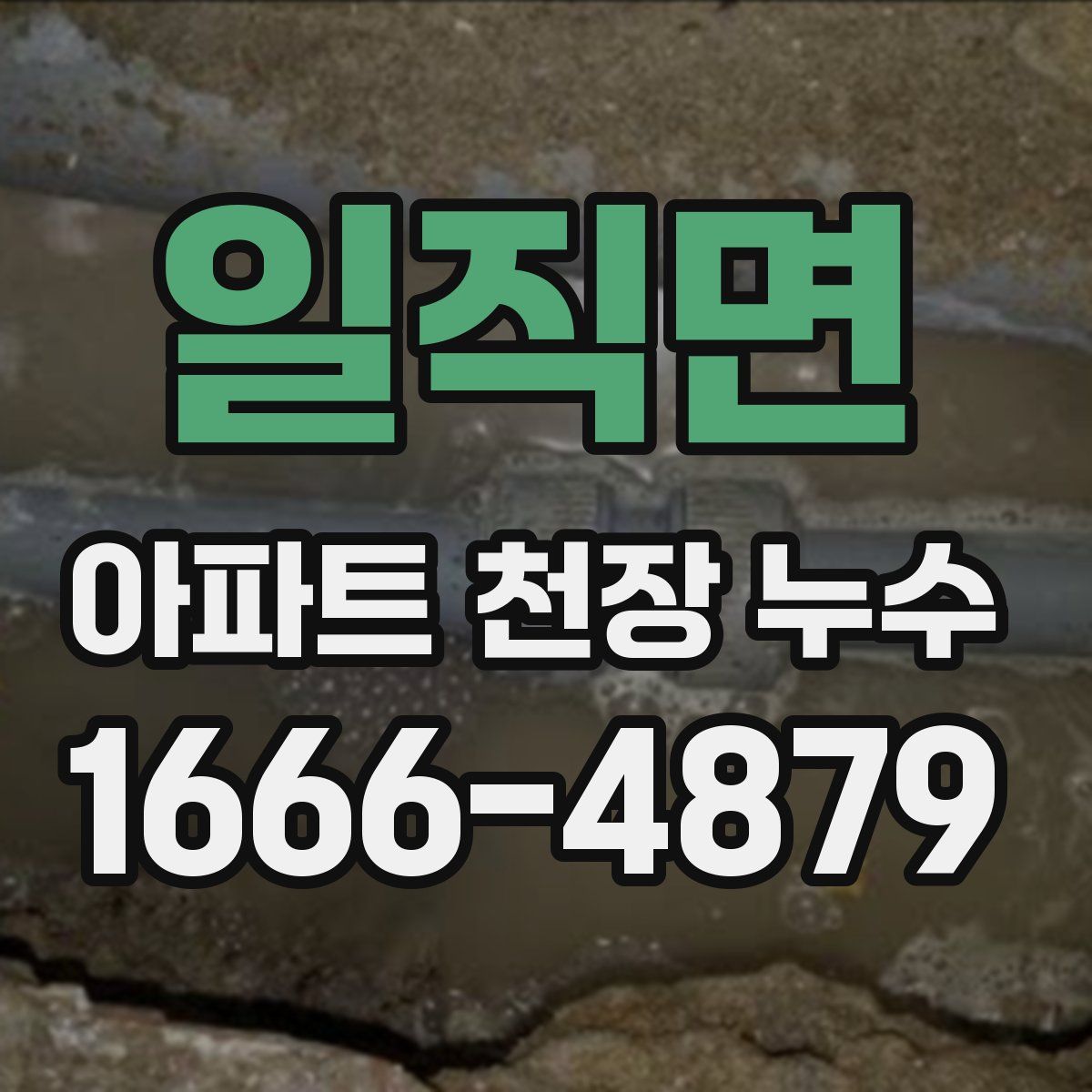 일직면 아파트 천장 누수