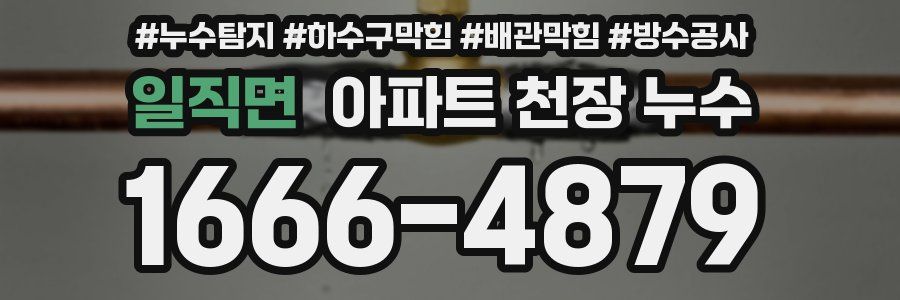 일직면 아파트 천장 누수