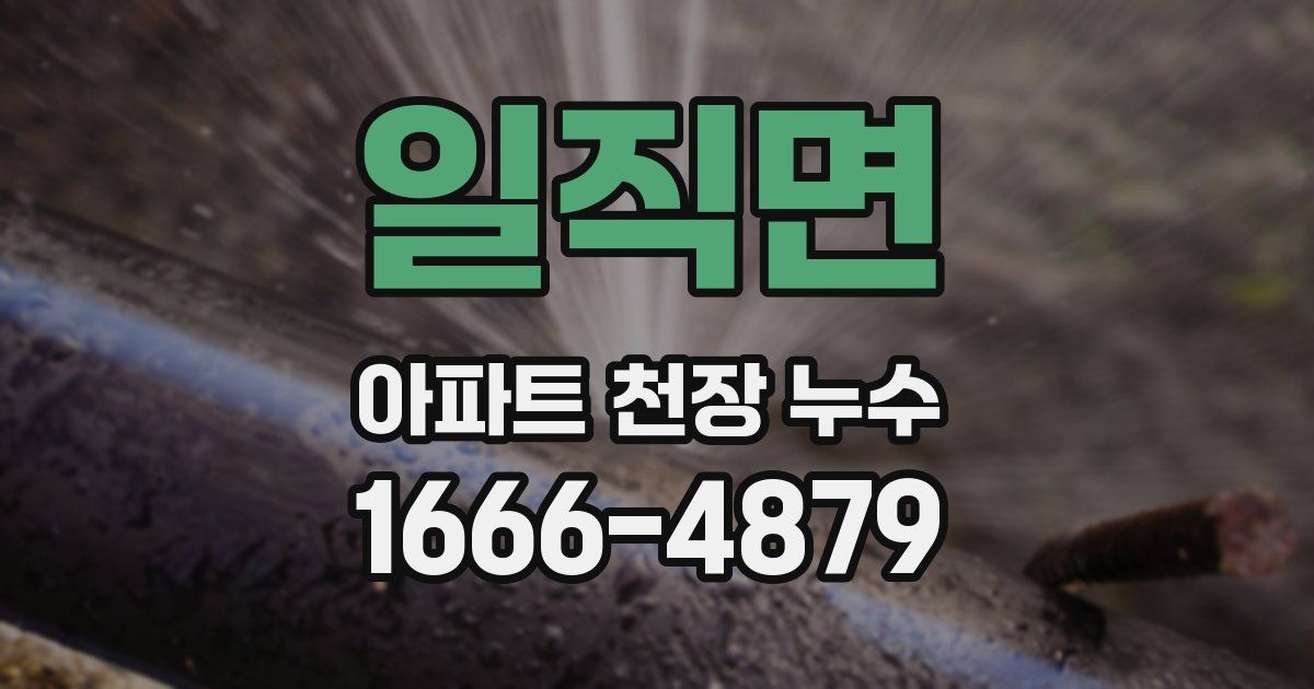 일직면 아파트 천장 누수