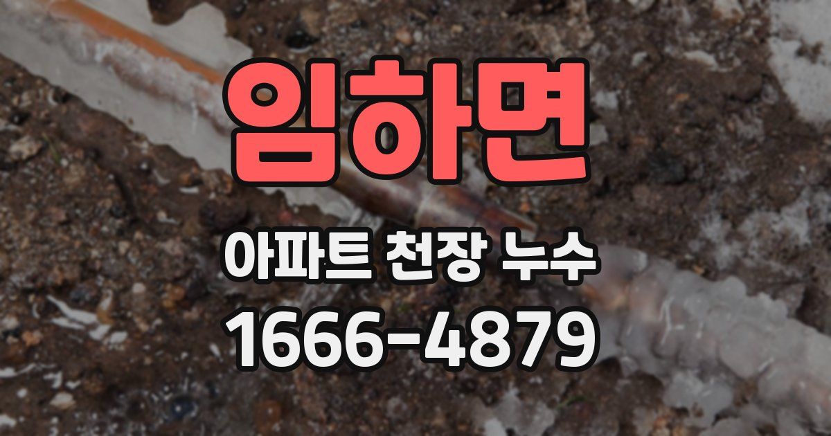 임하면 아파트 천장 누수