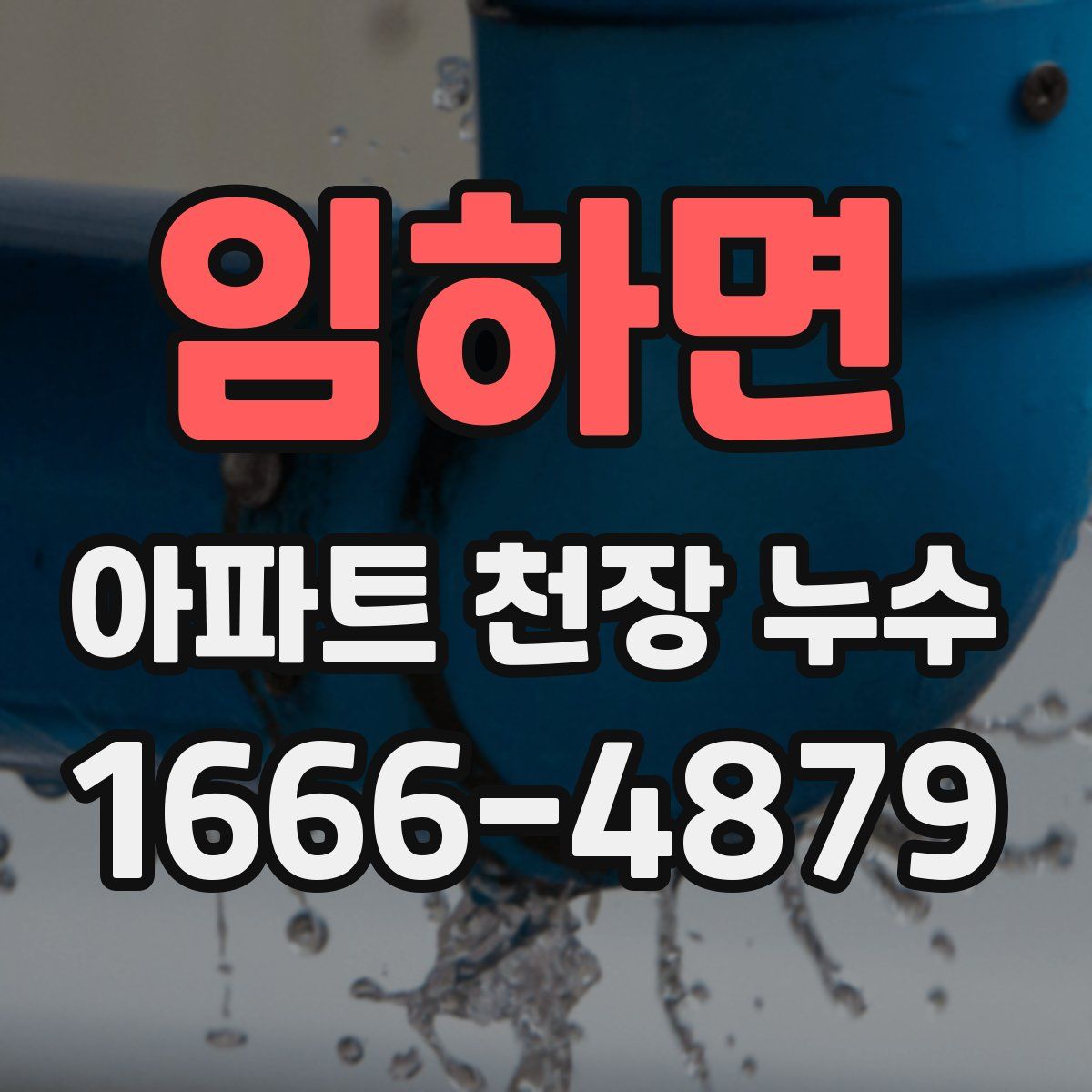 임하면 아파트 천장 누수