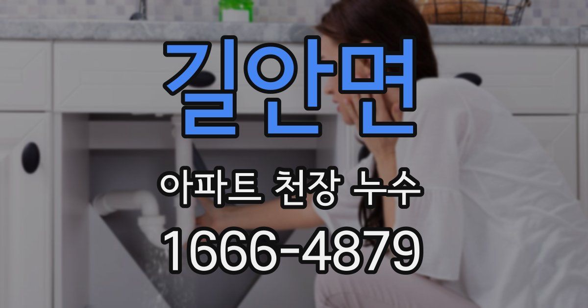 길안면 아파트 천장 누수
