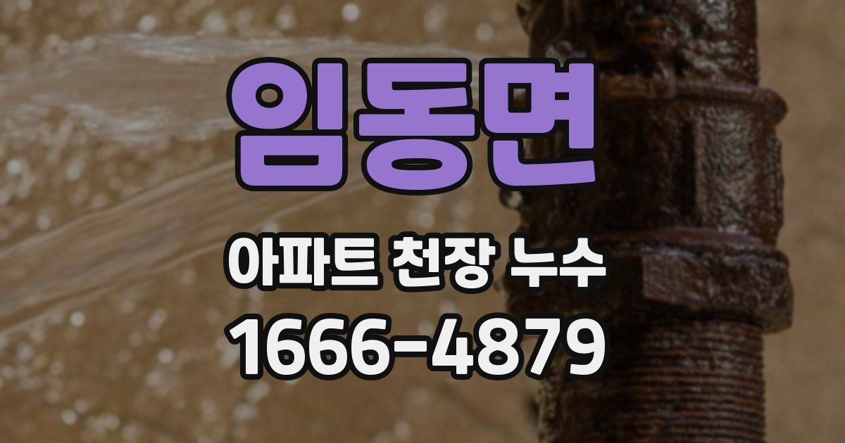 임동면 아파트 천장 누수
