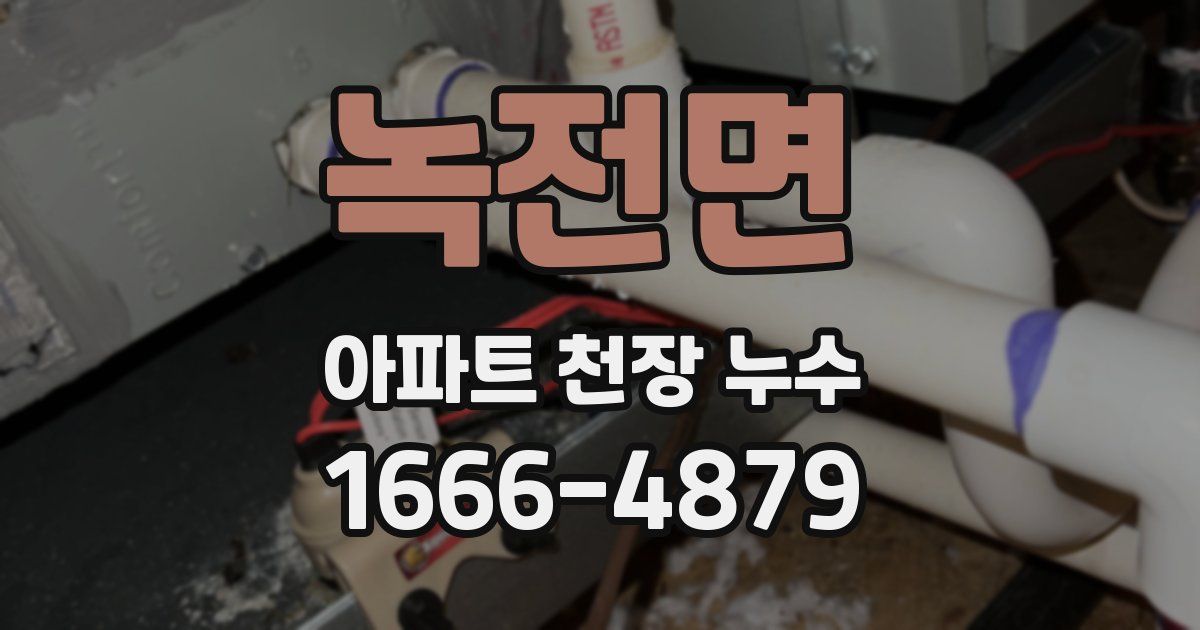 녹전면 아파트 천장 누수