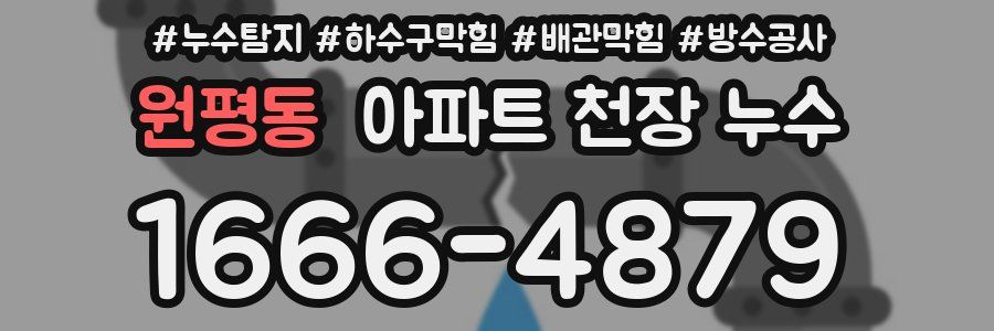 원평동 아파트 천장 누수