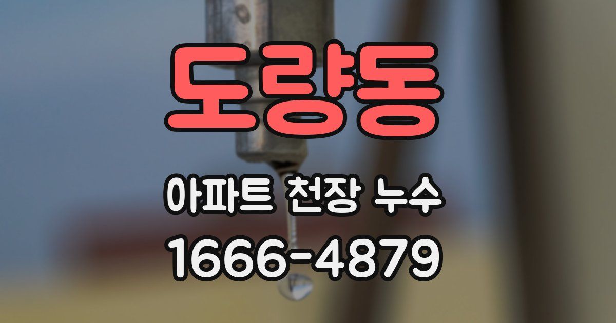 도량동 아파트 천장 누수