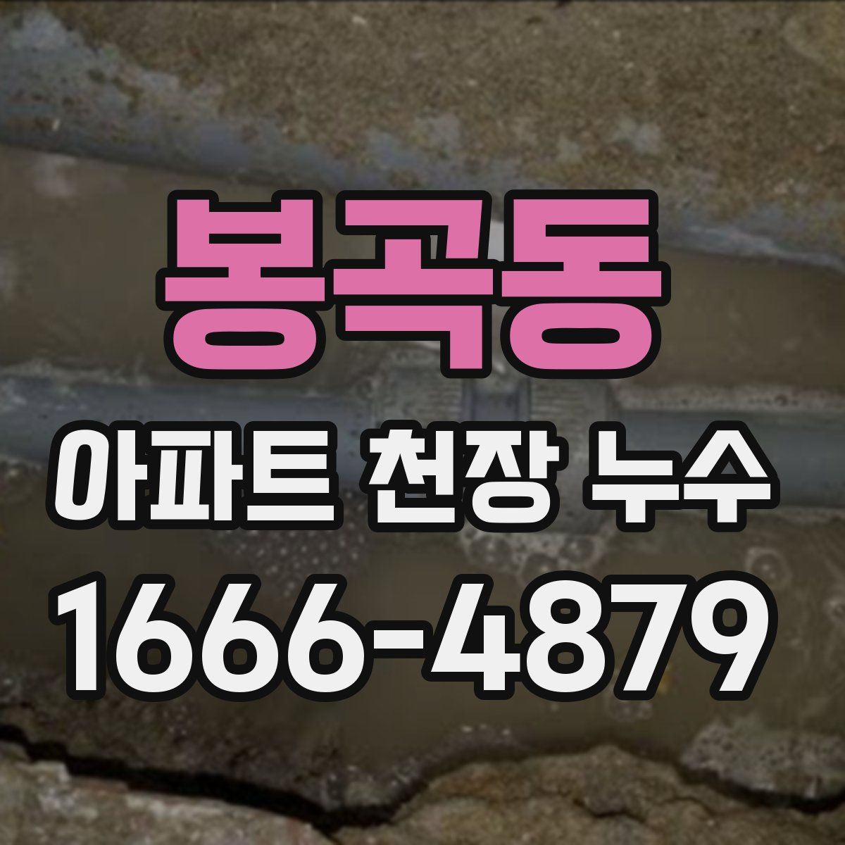 봉곡동 아파트 천장 누수