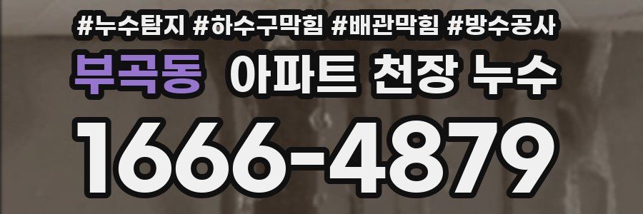 부곡동 아파트 천장 누수