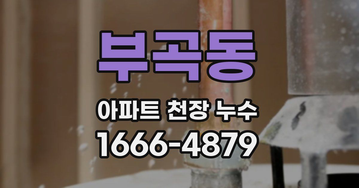 부곡동 아파트 천장 누수