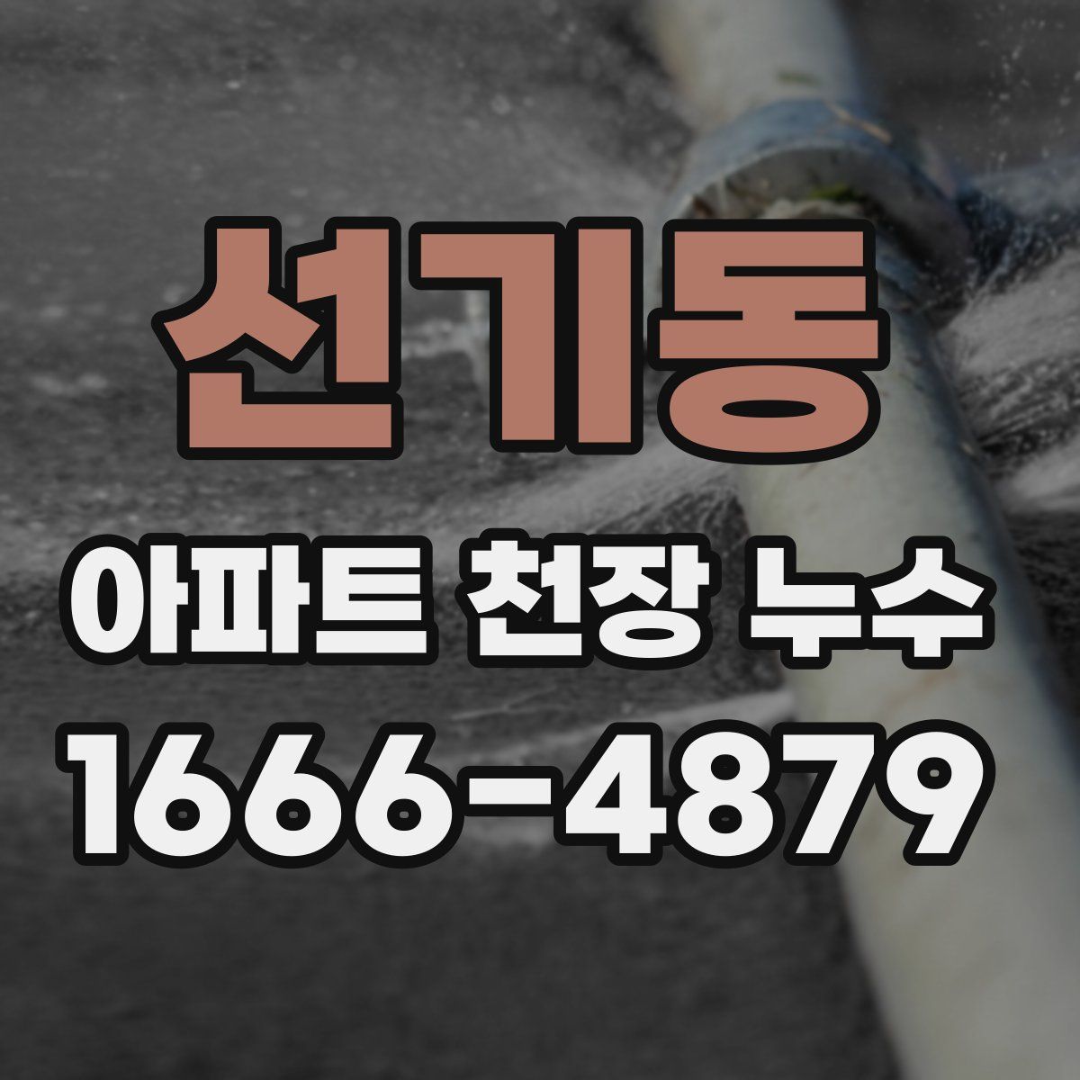 선기동 아파트 천장 누수