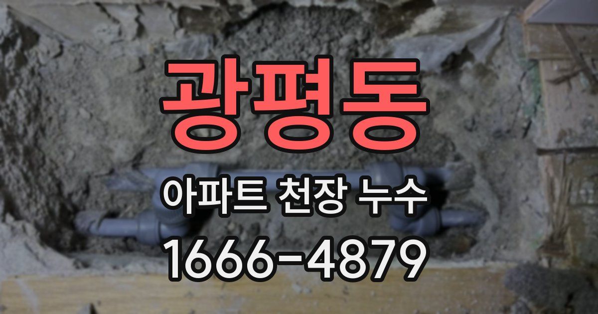 광평동 아파트 천장 누수