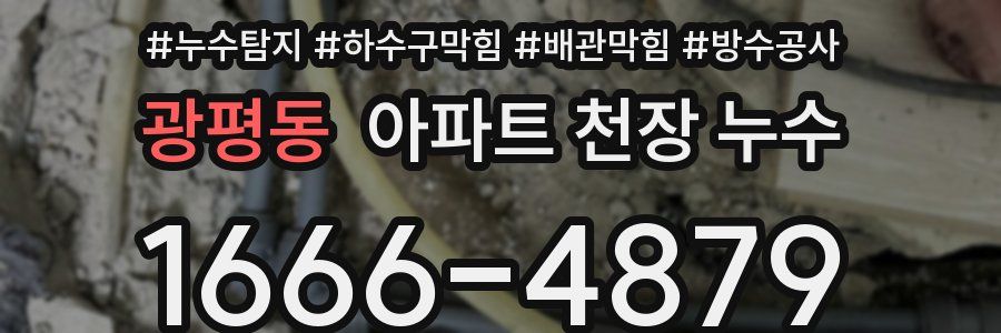 광평동 아파트 천장 누수