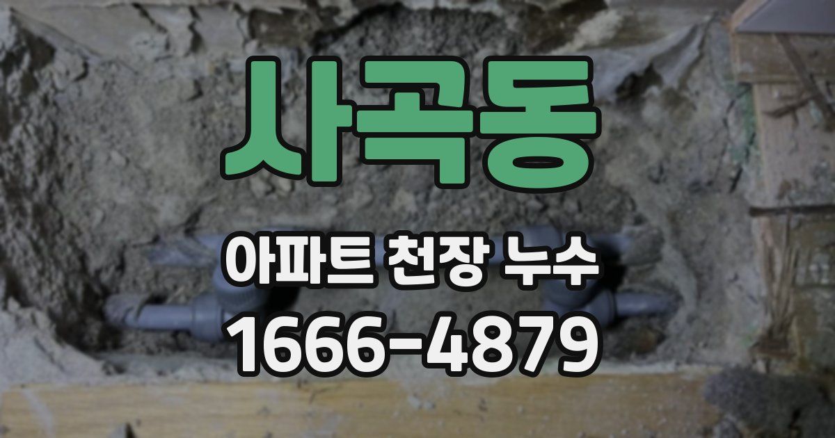 사곡동 아파트 천장 누수
