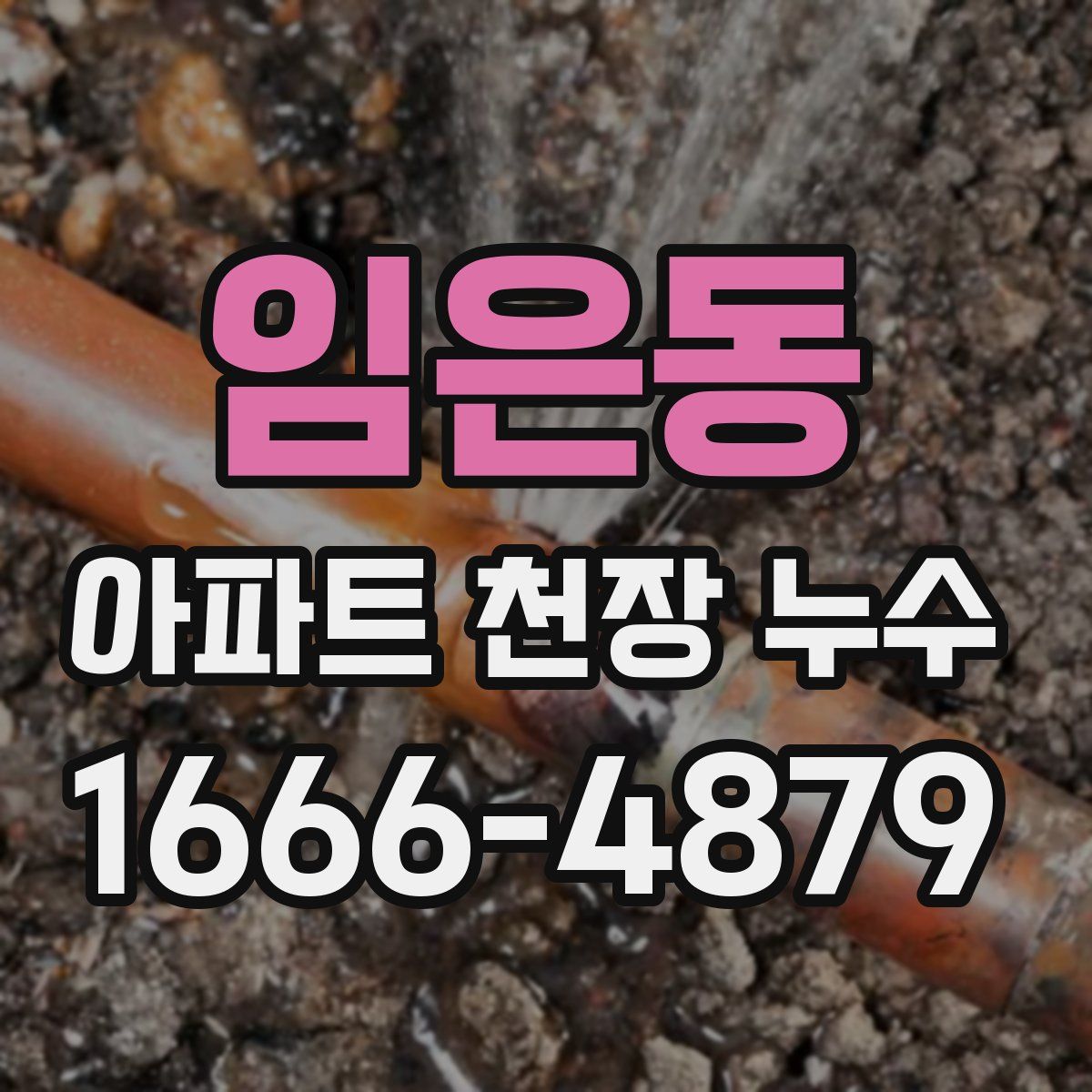 임은동 아파트 천장 누수