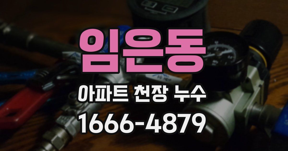임은동 아파트 천장 누수