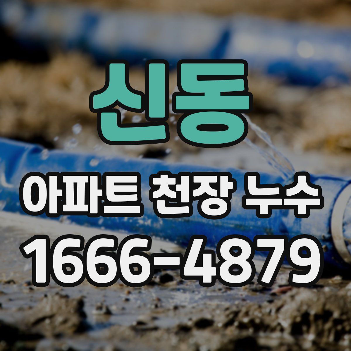 신동 아파트 천장 누수