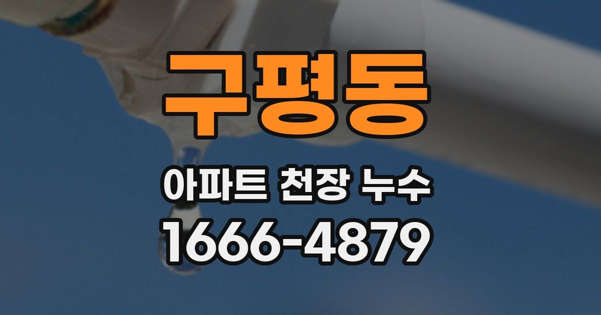 구평동 아파트 천장 누수