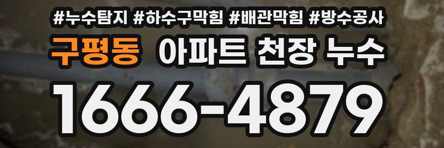 구평동 아파트 천장 누수