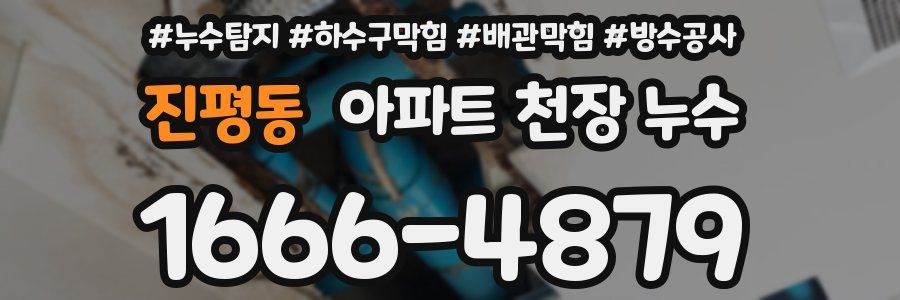 진평동 아파트 천장 누수