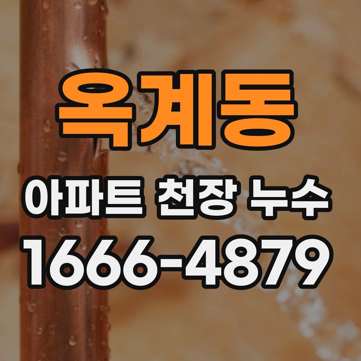 옥계동 아파트 천장 누수