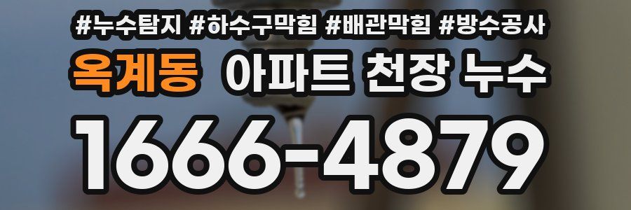 옥계동 아파트 천장 누수